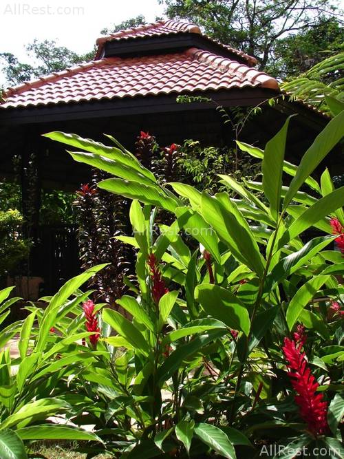 Khaolak Palm Hill Resort & Spa 10